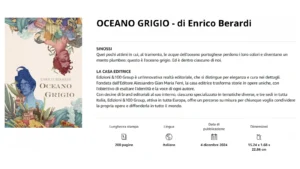 Screenshoot del libro di Enrico Berardi dal titolo Oceano Grigio.